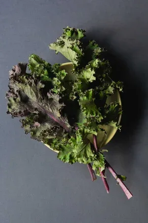 EquiTable — food