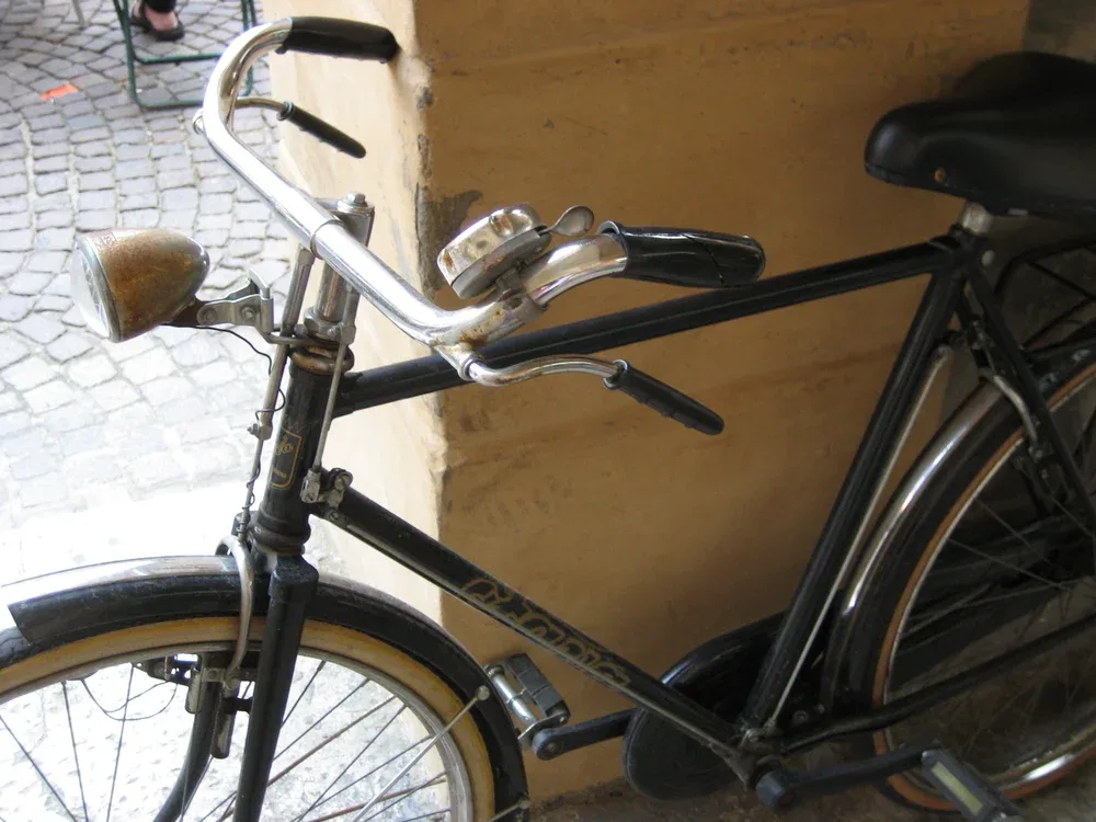 Via Carota — photo 14