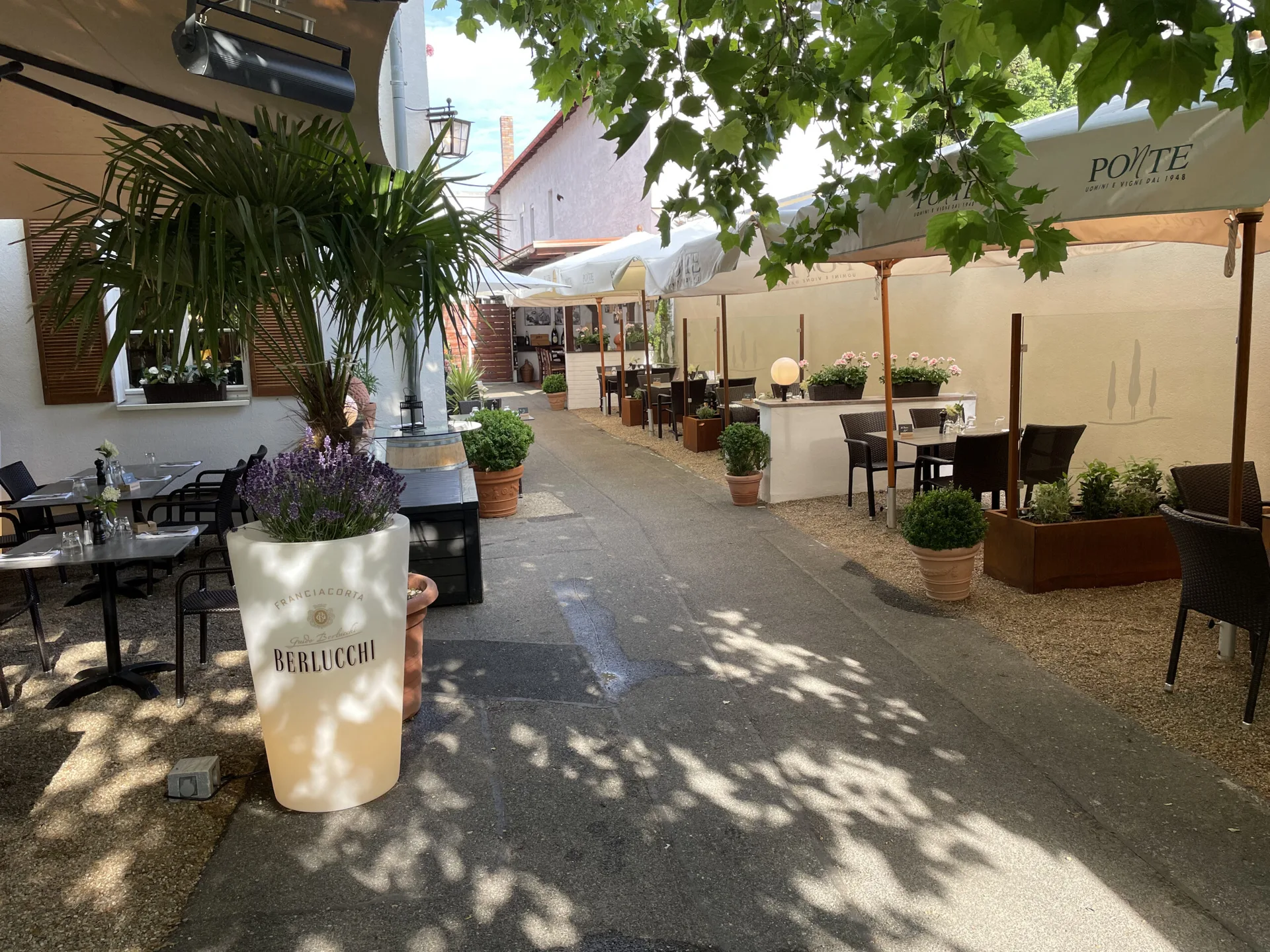 Toscanino Trattoria &amp; Vinothek — photo 49