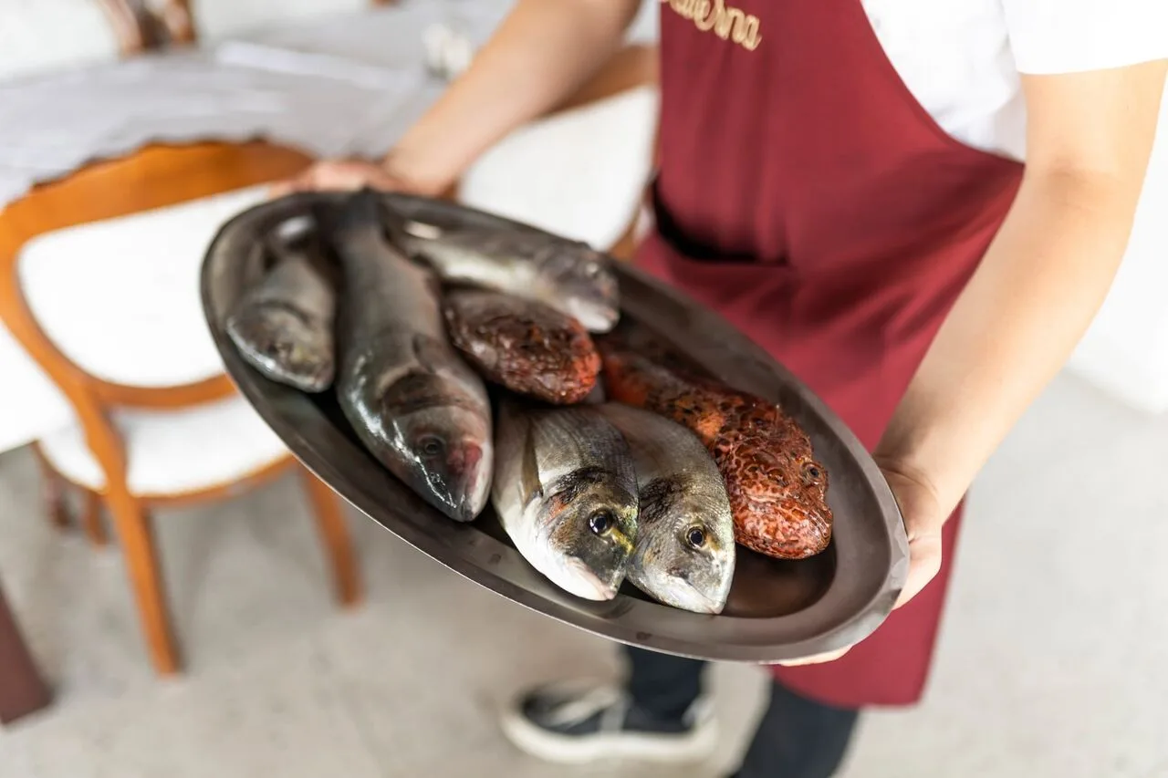 Taverna Diklo — photo 4