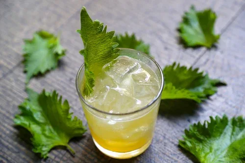 Hinoki & The Bird — drink