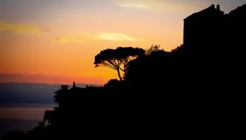 Boccafine, Bastia