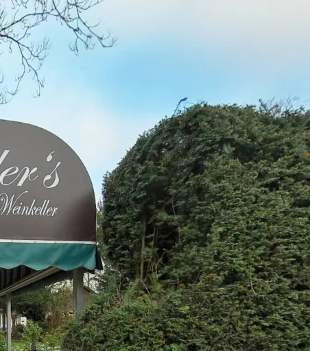 Schneider’s Weinstube im Badener Weinkeller — photo 19