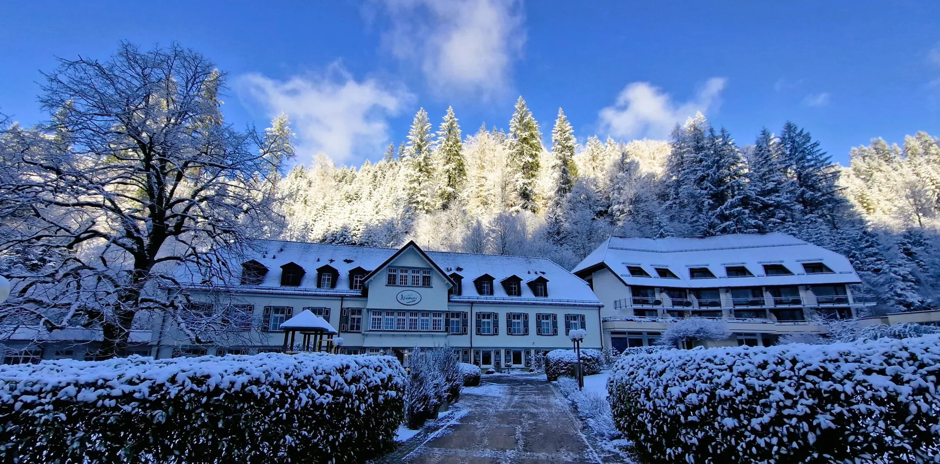 Waldhotel Bad Sulzburg — photo 32