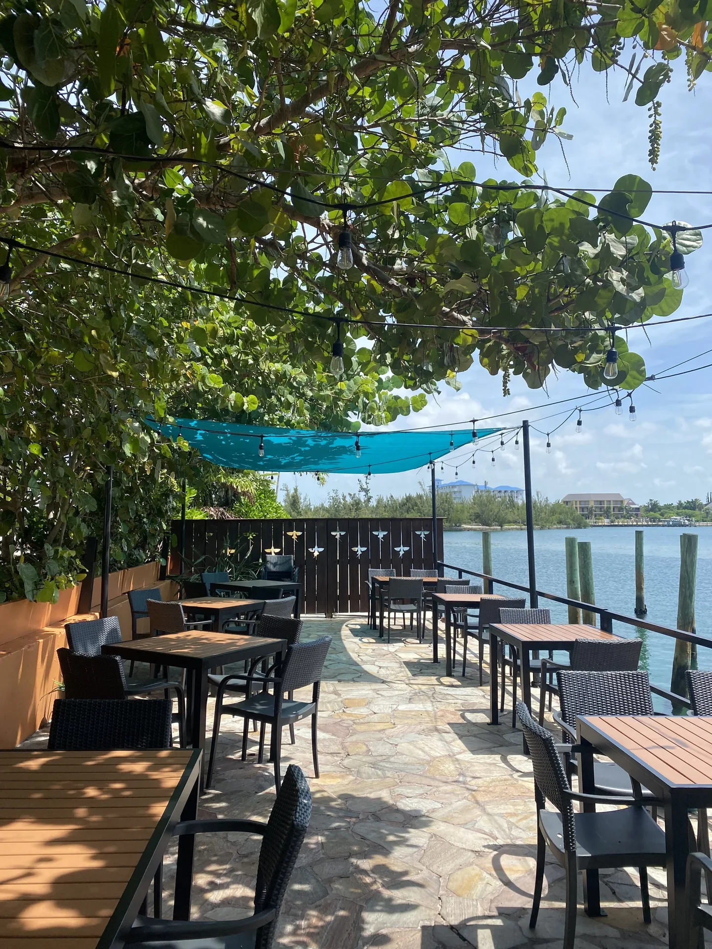 Flying Fish GastroBar — photo 110