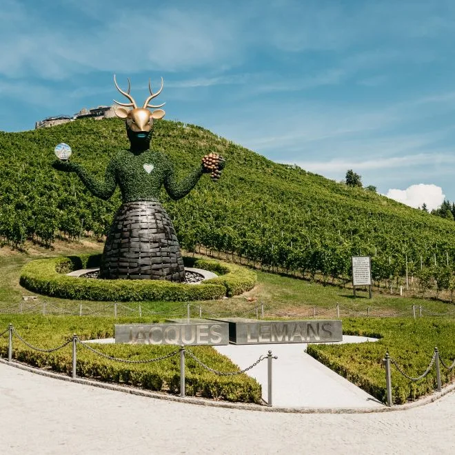 Dvor Jezeršek, Kranj