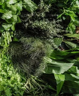 Elea — food