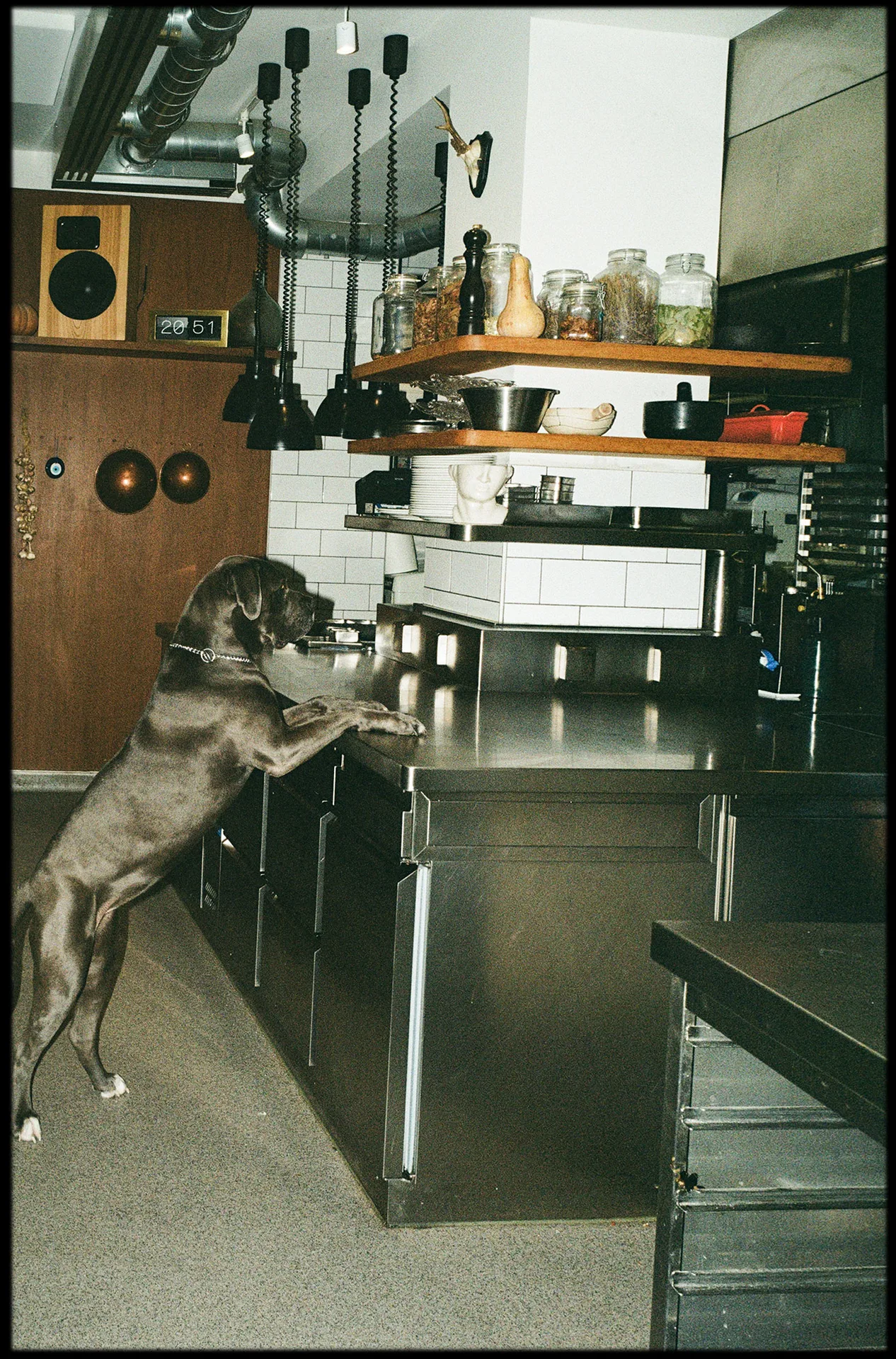 Café Frieda — photo 35