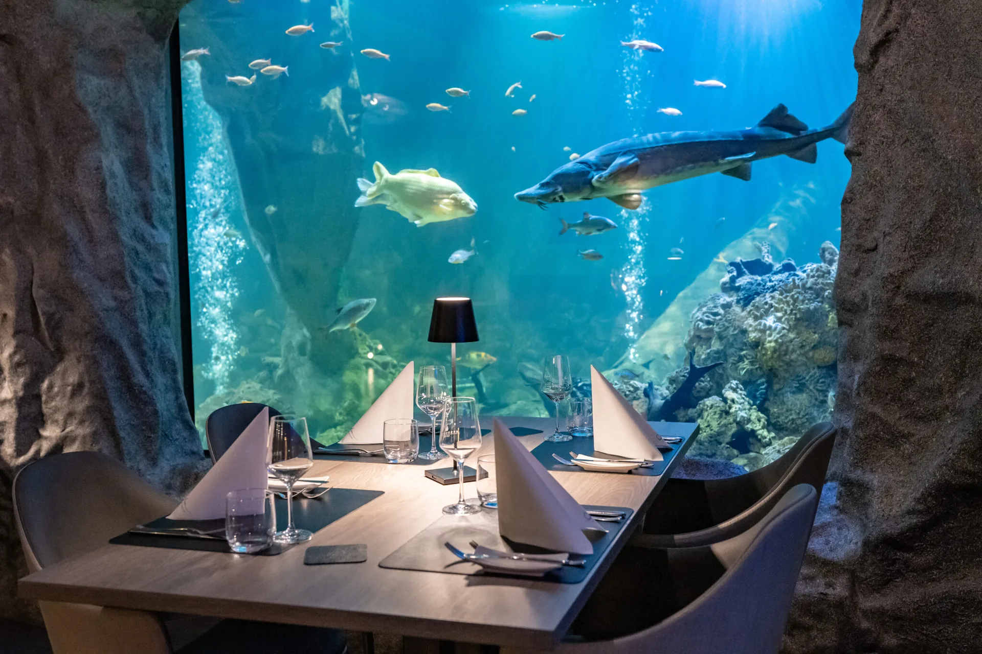 Restaurant La Mer — photo 21