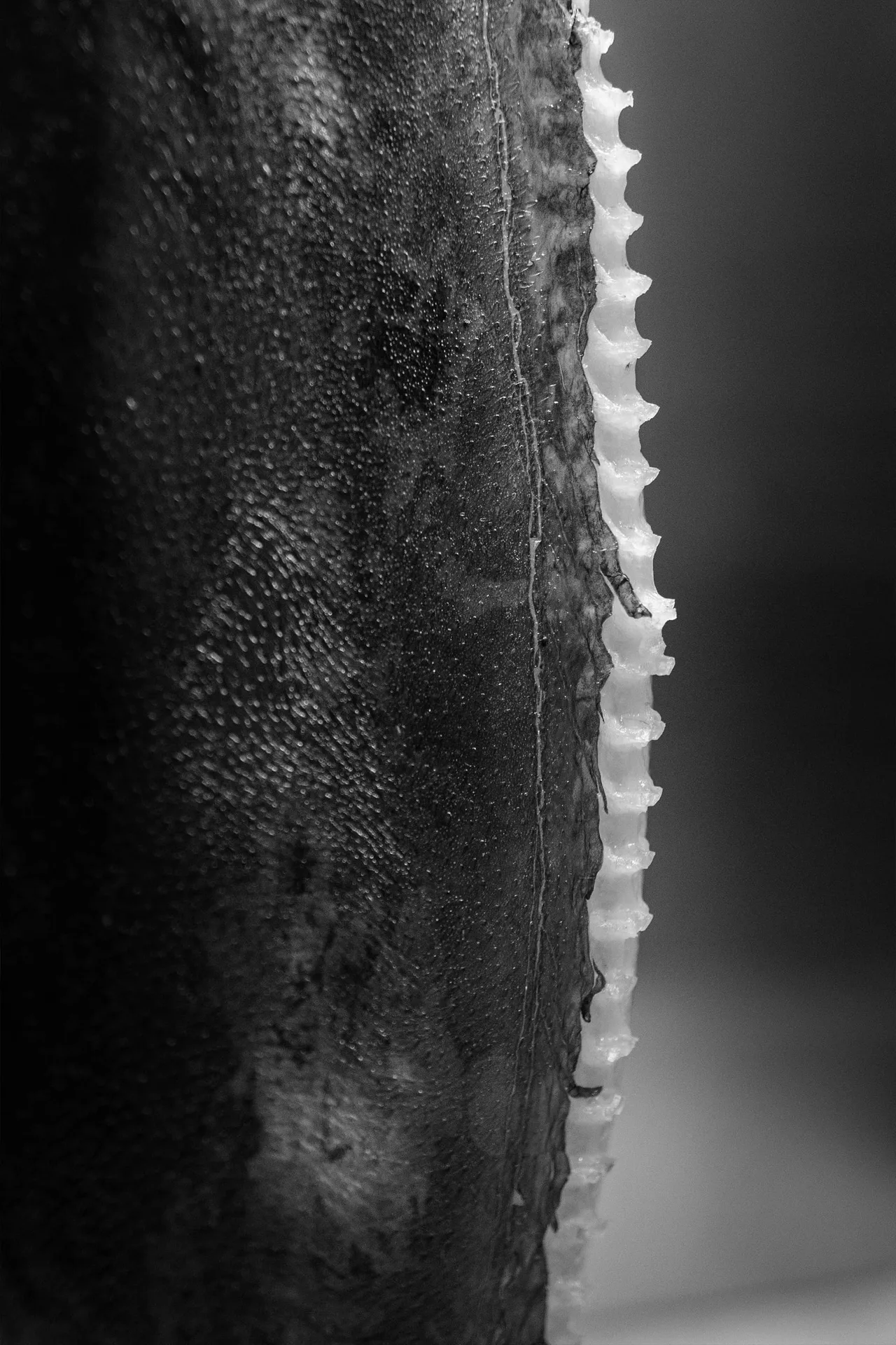 Lysverket — photo 6