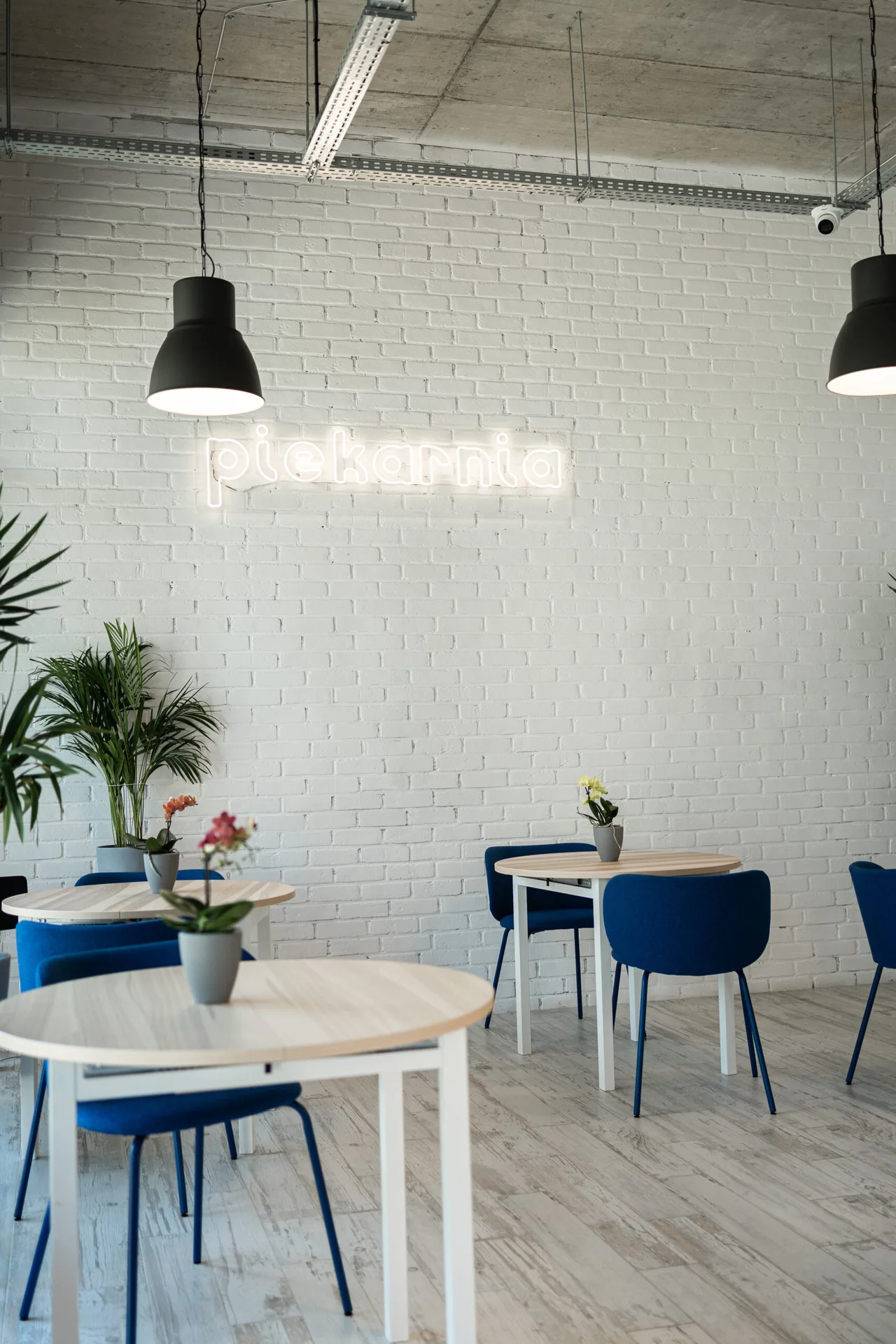 Otwarta Grill — photo 17