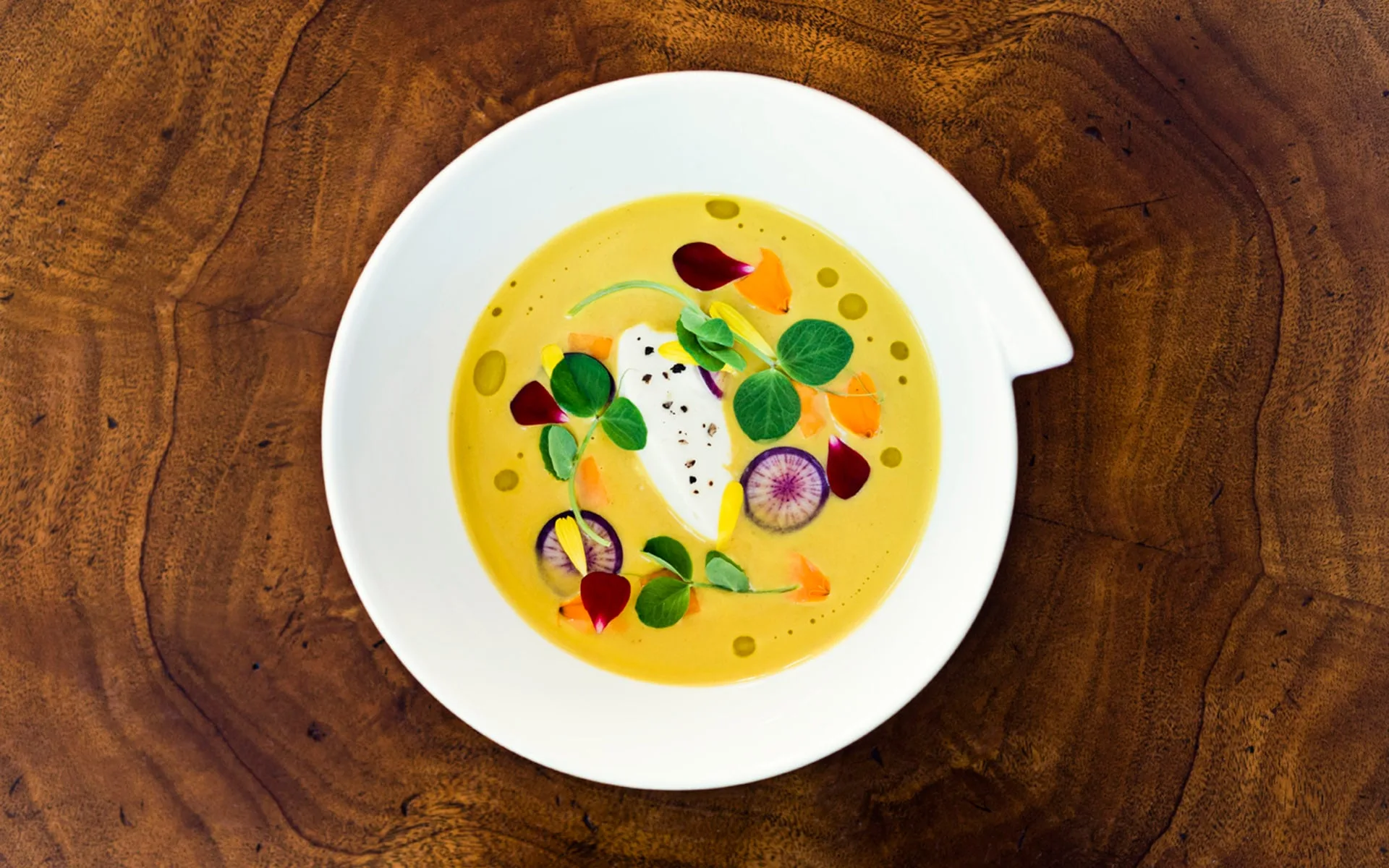 Lemaire — photo 22