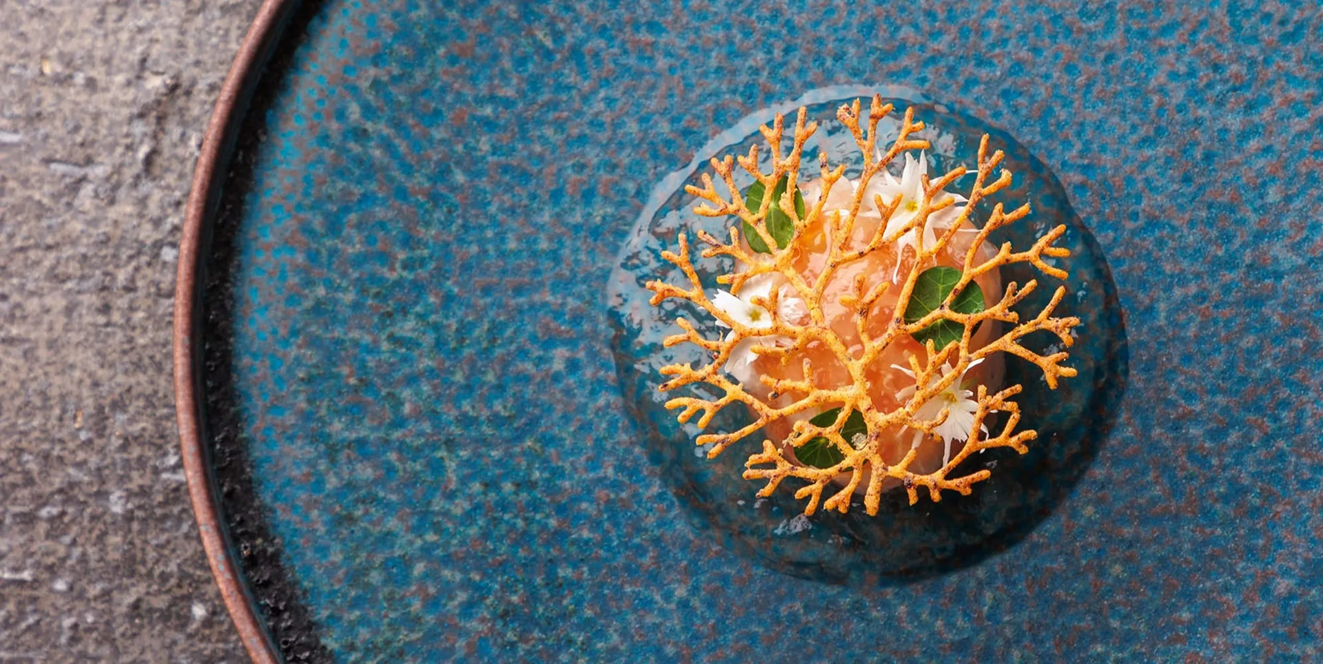 Toki — photo 15