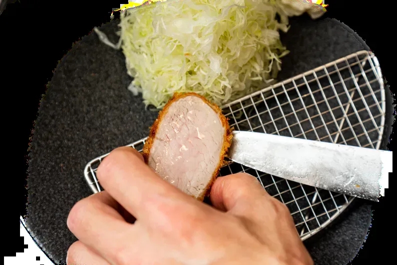 Tonkatsu KATSU Hana — photo 45
