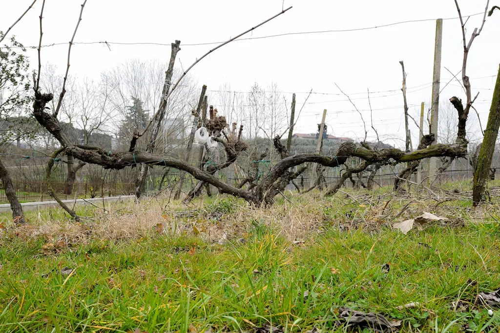 2 Laghi Agriturismo — photo 16
