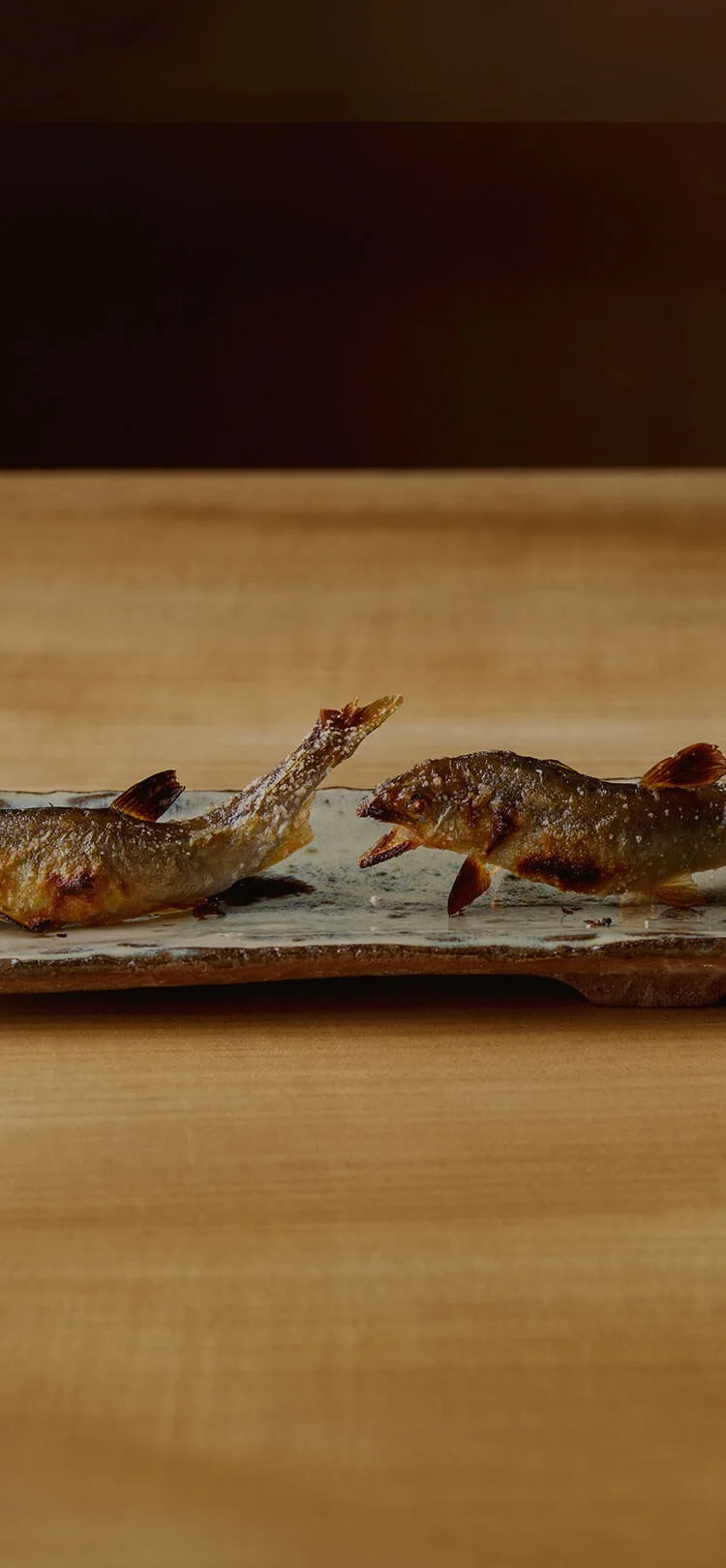 Shimmachi Adachi — photo 27