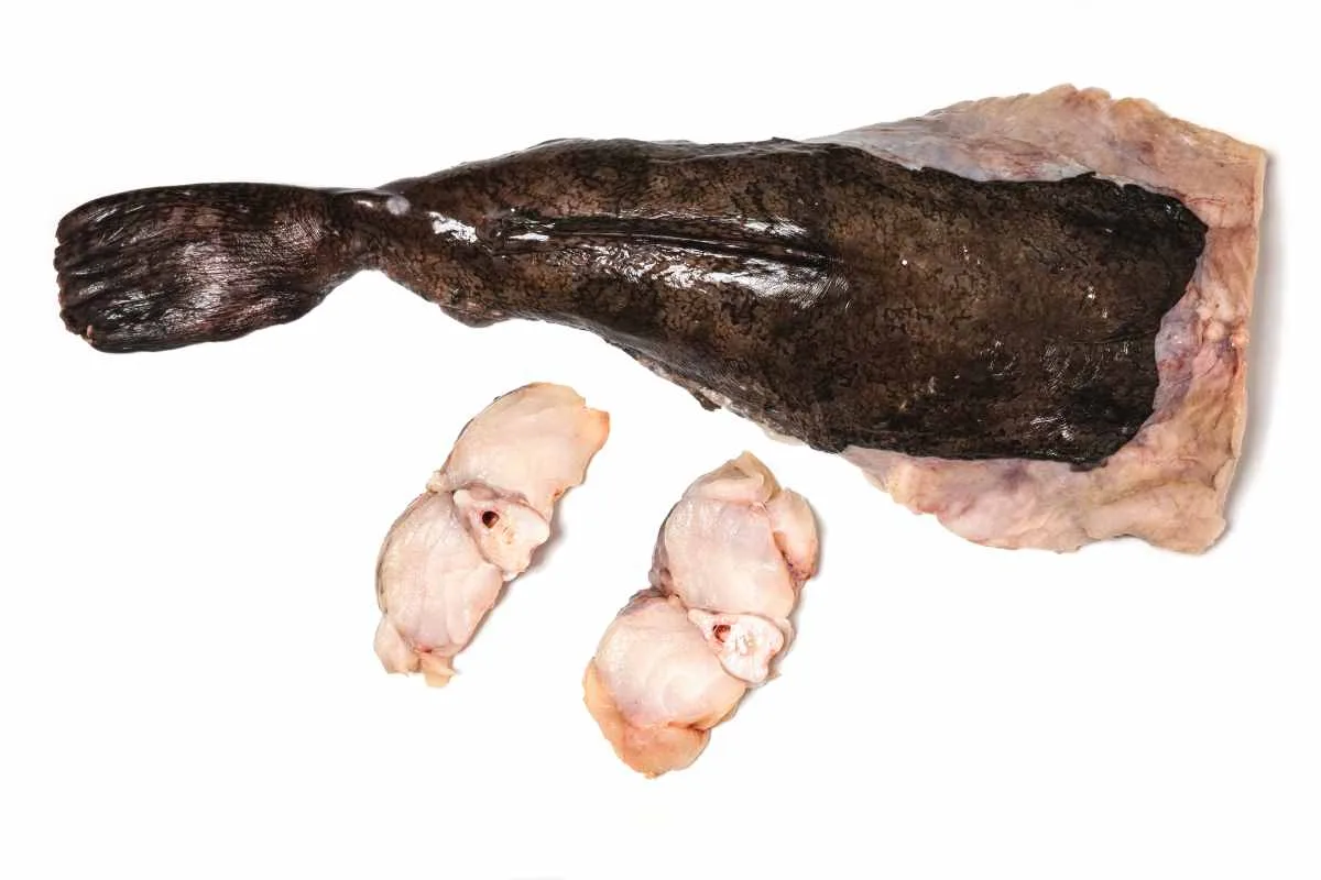 Atlantik Fisch — photo 39