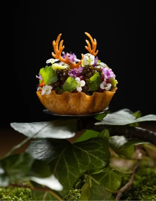 Platán Gourmet — photo 8