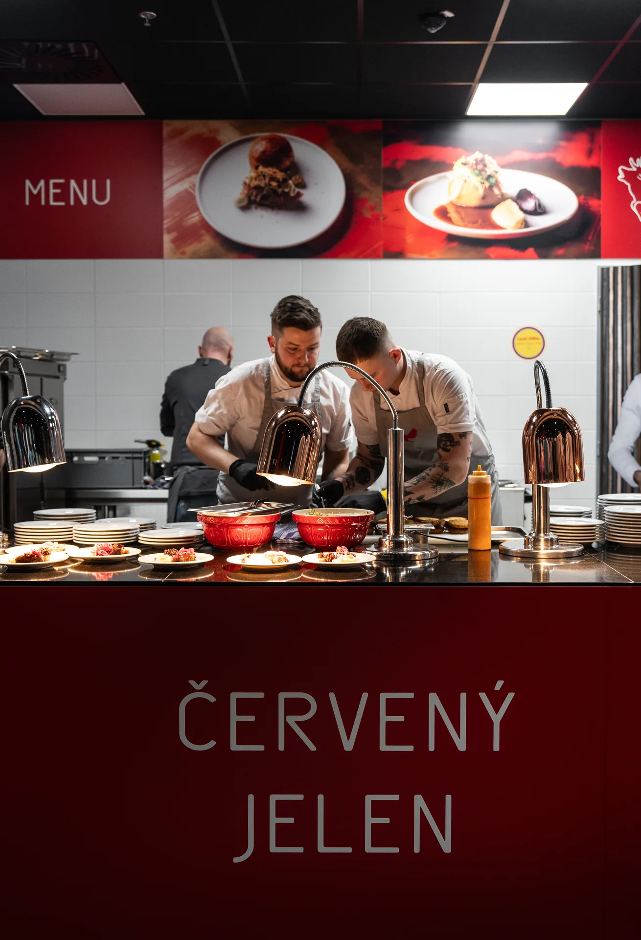 Červený jelen — photo 86