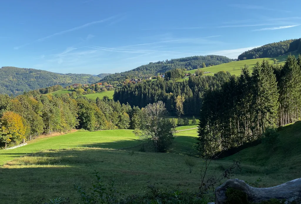 Gasthof Hirschen — photo 18