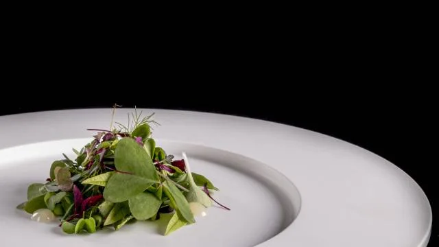 Il Narciso — food