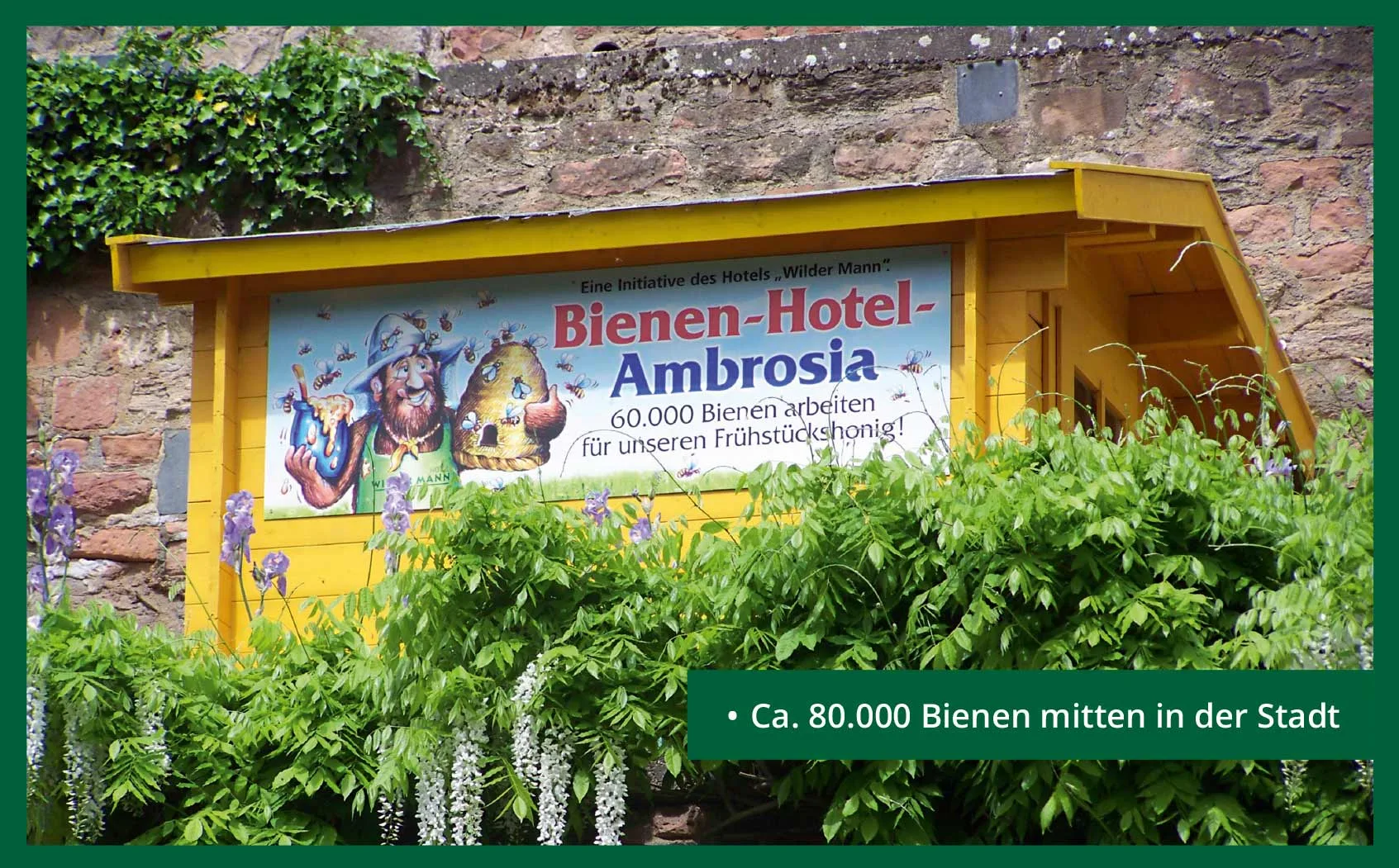 Restaurant Wilder Mann — photo 53