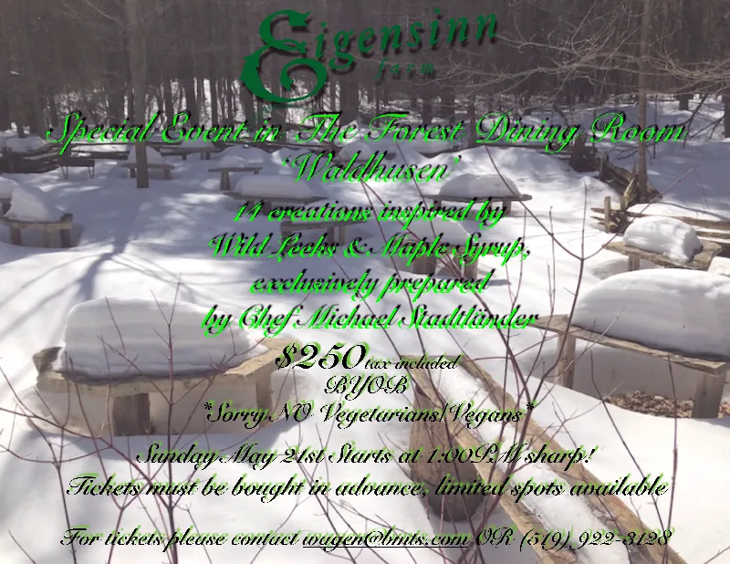Eigensinn Farm — photo 15