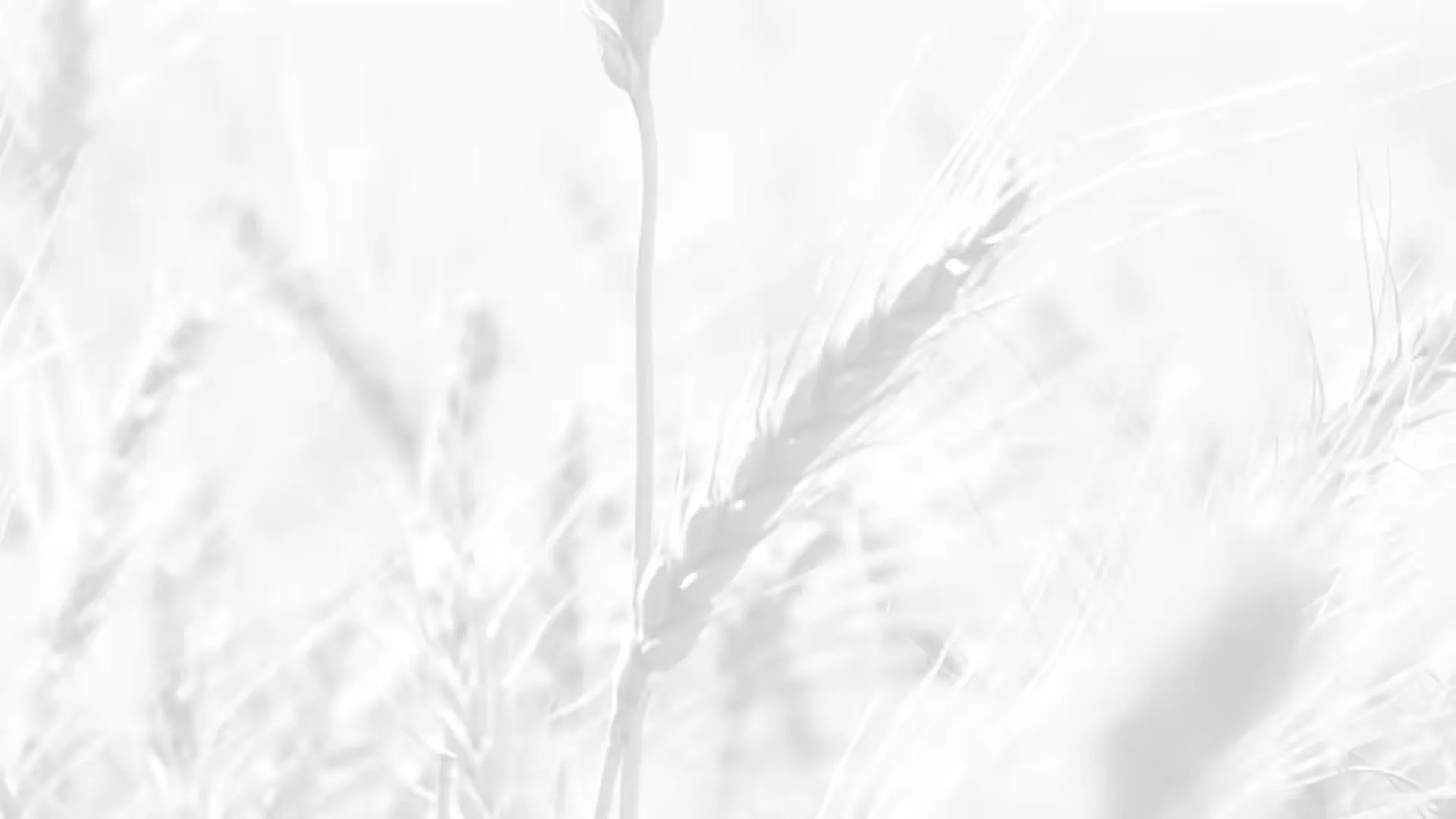 Herdade dos Grous — atmosphere