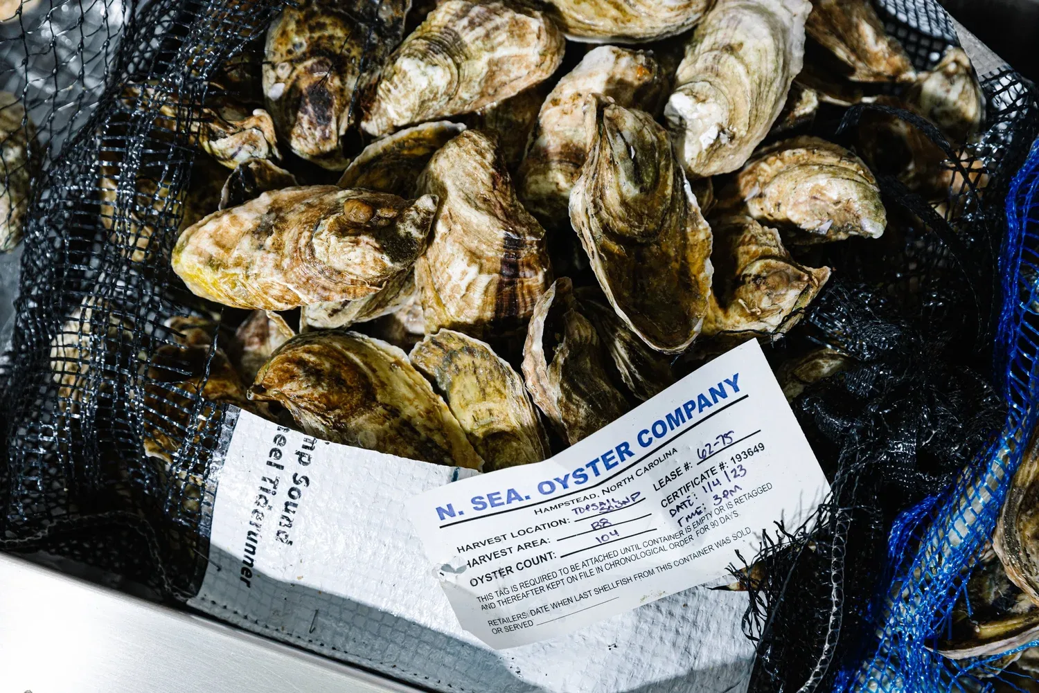 St. Roch Fine Oysters + Bar — photo 25