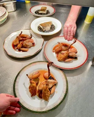 Cloth — photo 4