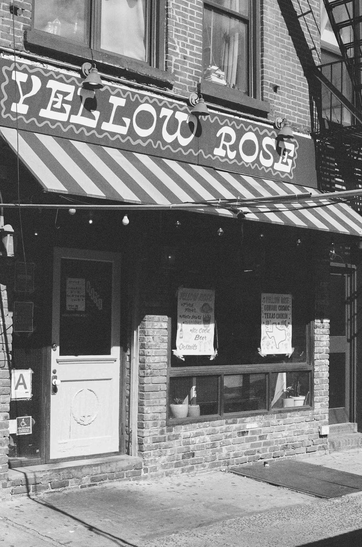 Yellow Rose — photo 14