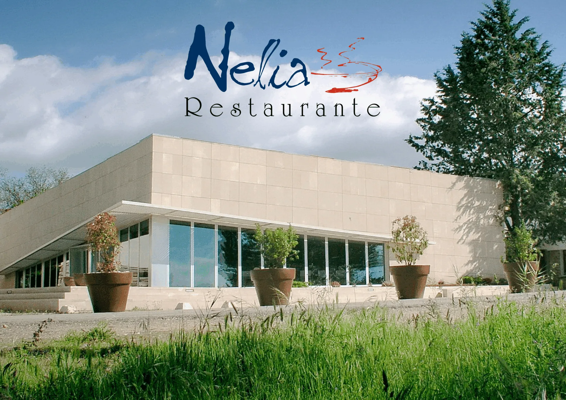 Mesón Nelia, Cuenca