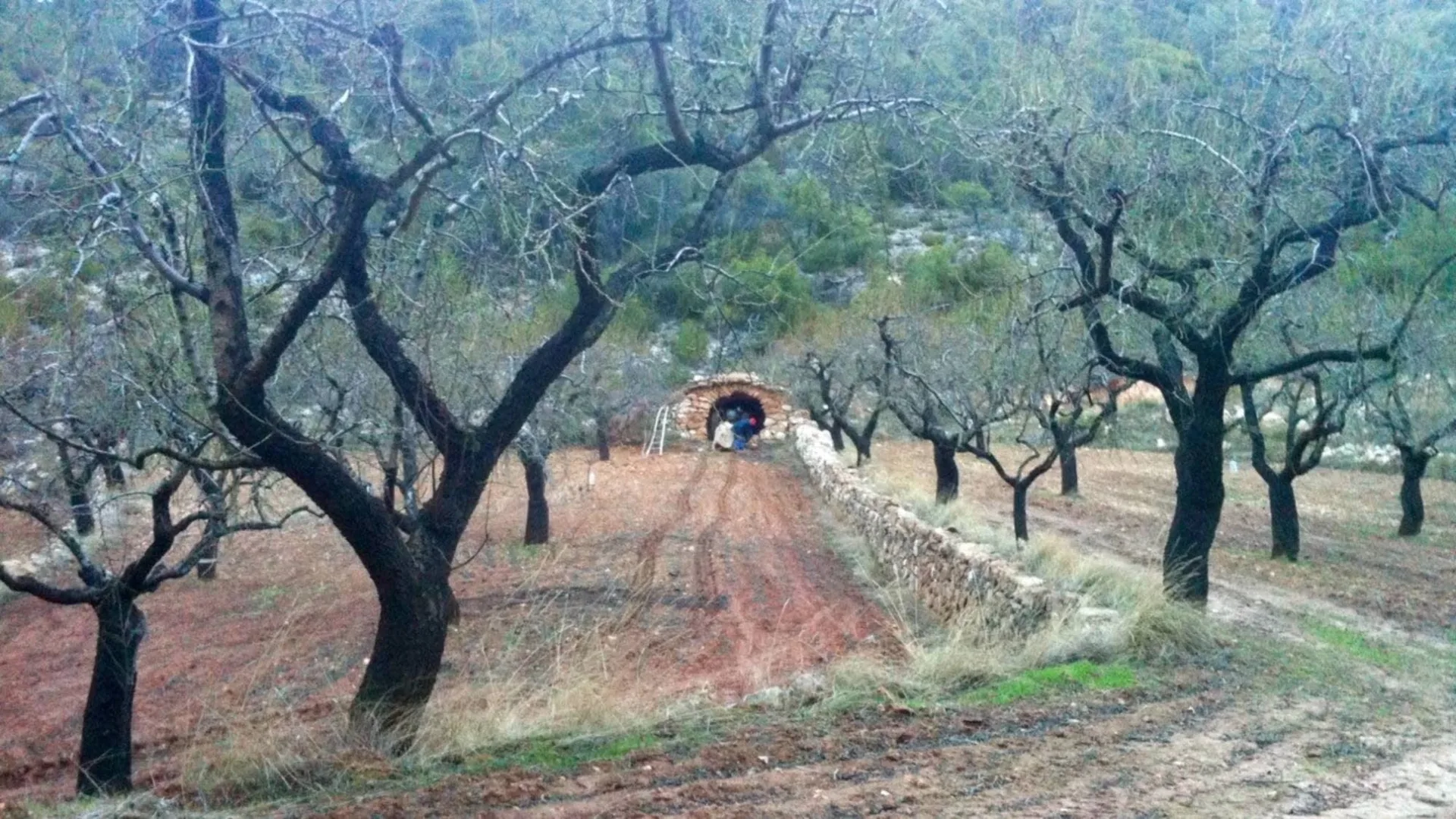 La Alquería — photo 6