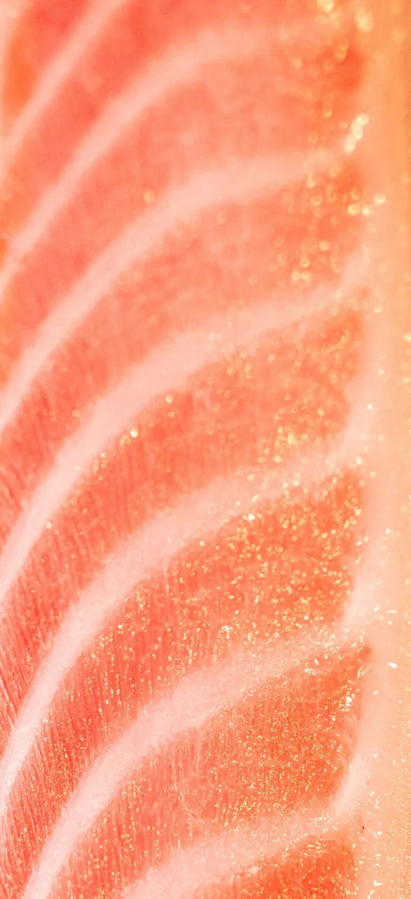 Shota Omakase — photo 8