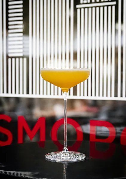 Le Cosmopolite, Paris