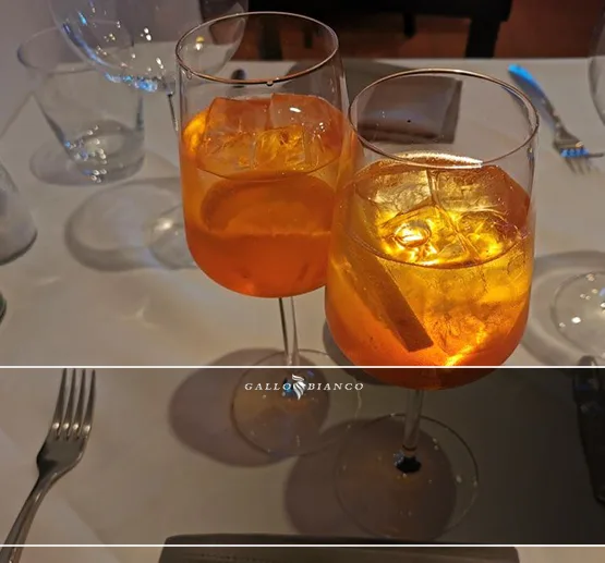 Ristorante Gallo Bianco — photo 4