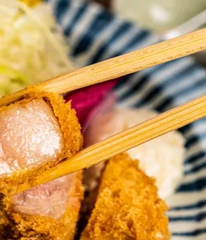 Tonkatsu KATSU Hana — photo 7