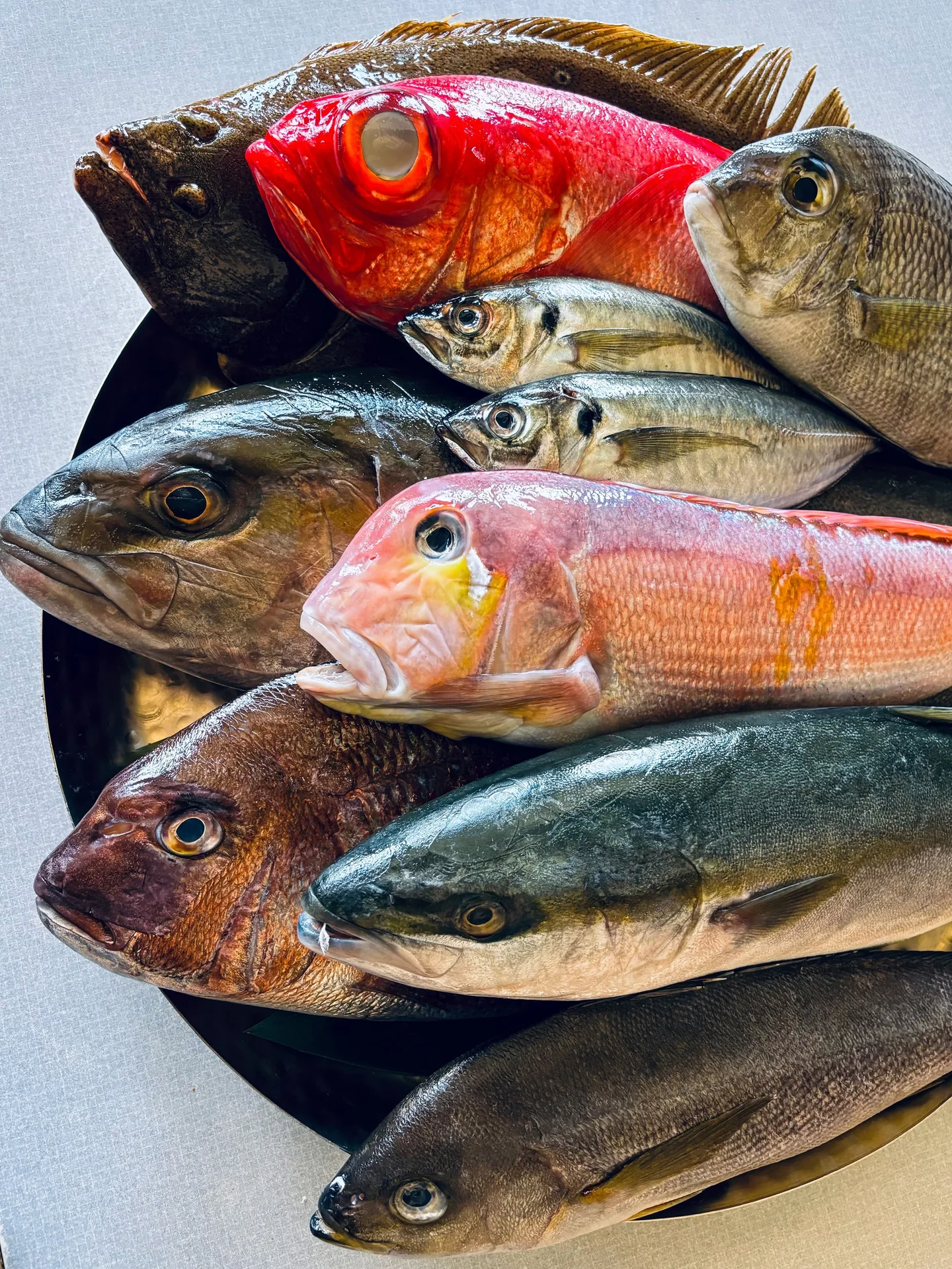 Koi Japanese Cuisine — photo 8