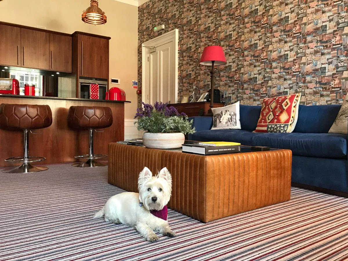 Kyloe — photo 33