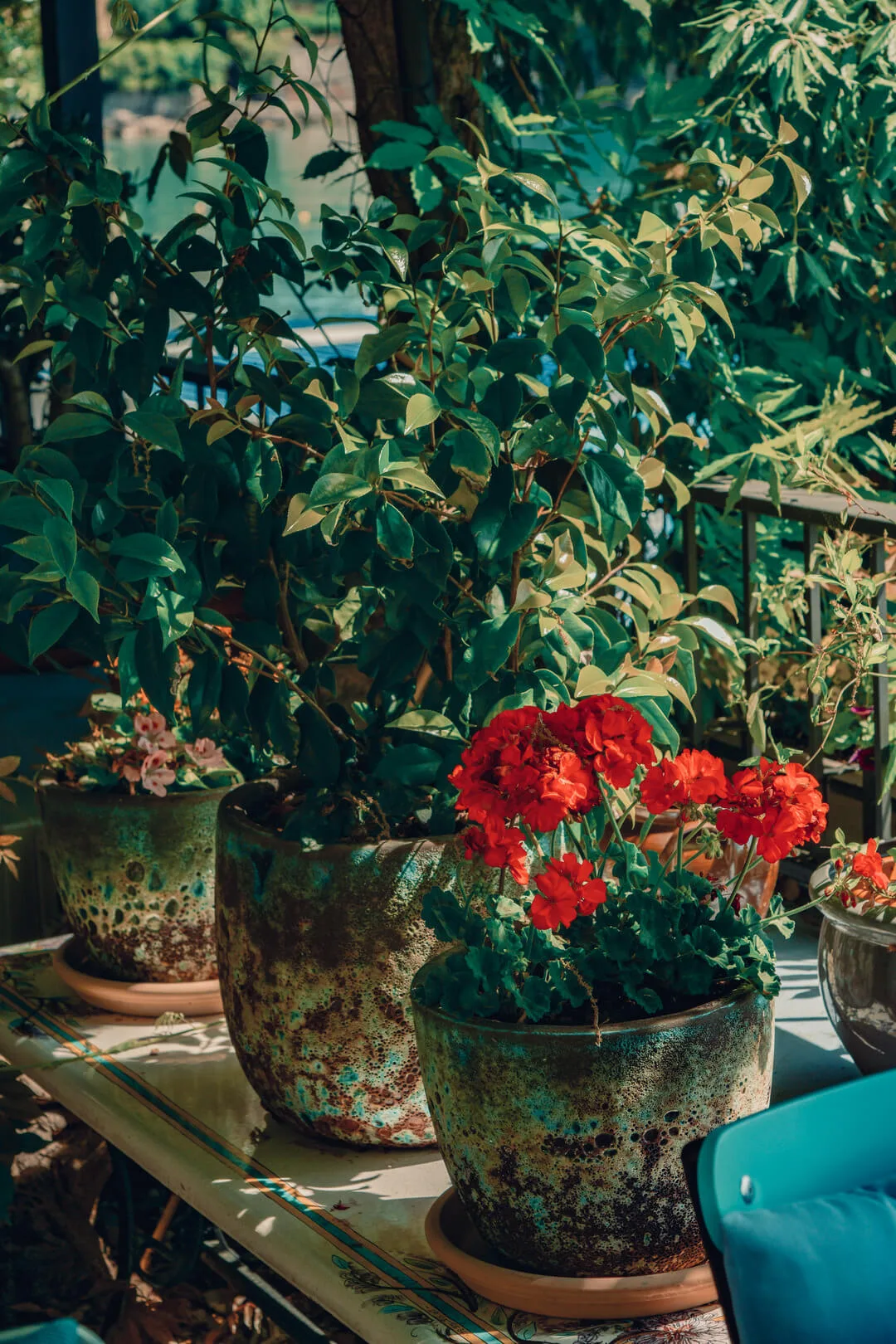 Ostaria Veranda — photo 115