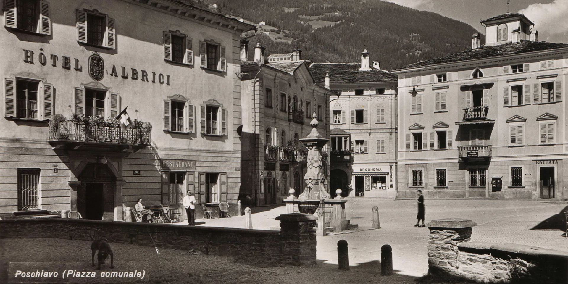 Albrici — photo 23