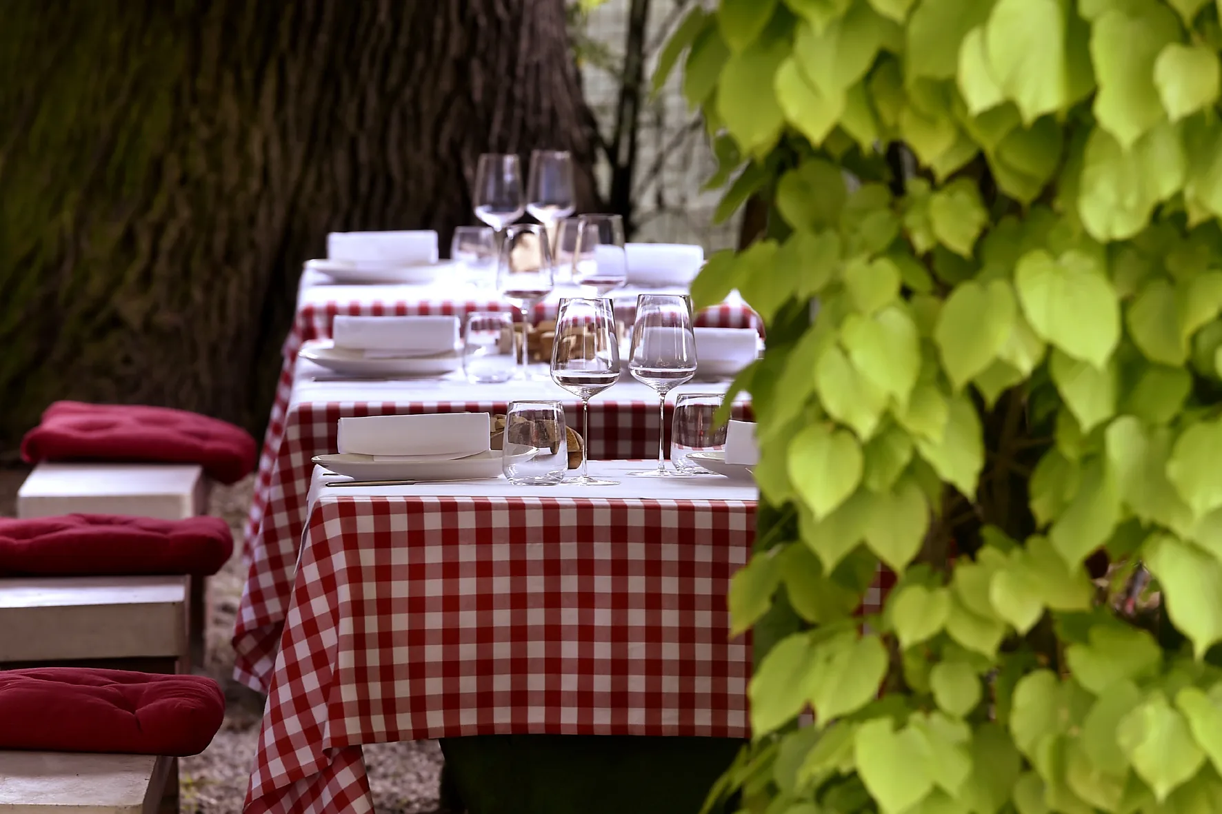 Trattoria Ai Due Platani — photo 6