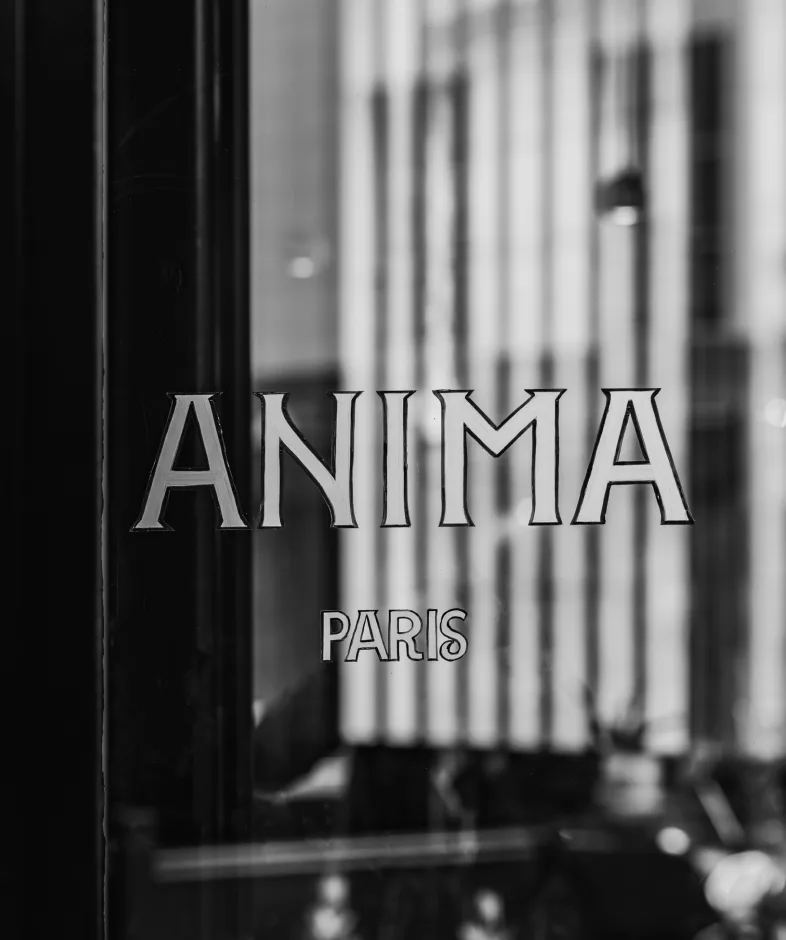 Anima — photo 12