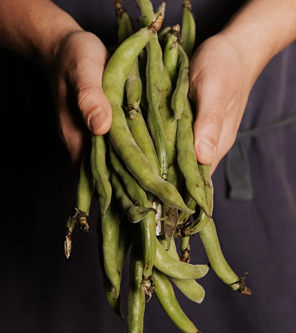Los Caños — food