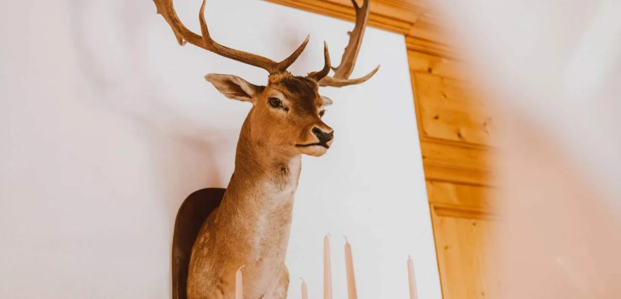 Naturparkhotel Adler — photo 4