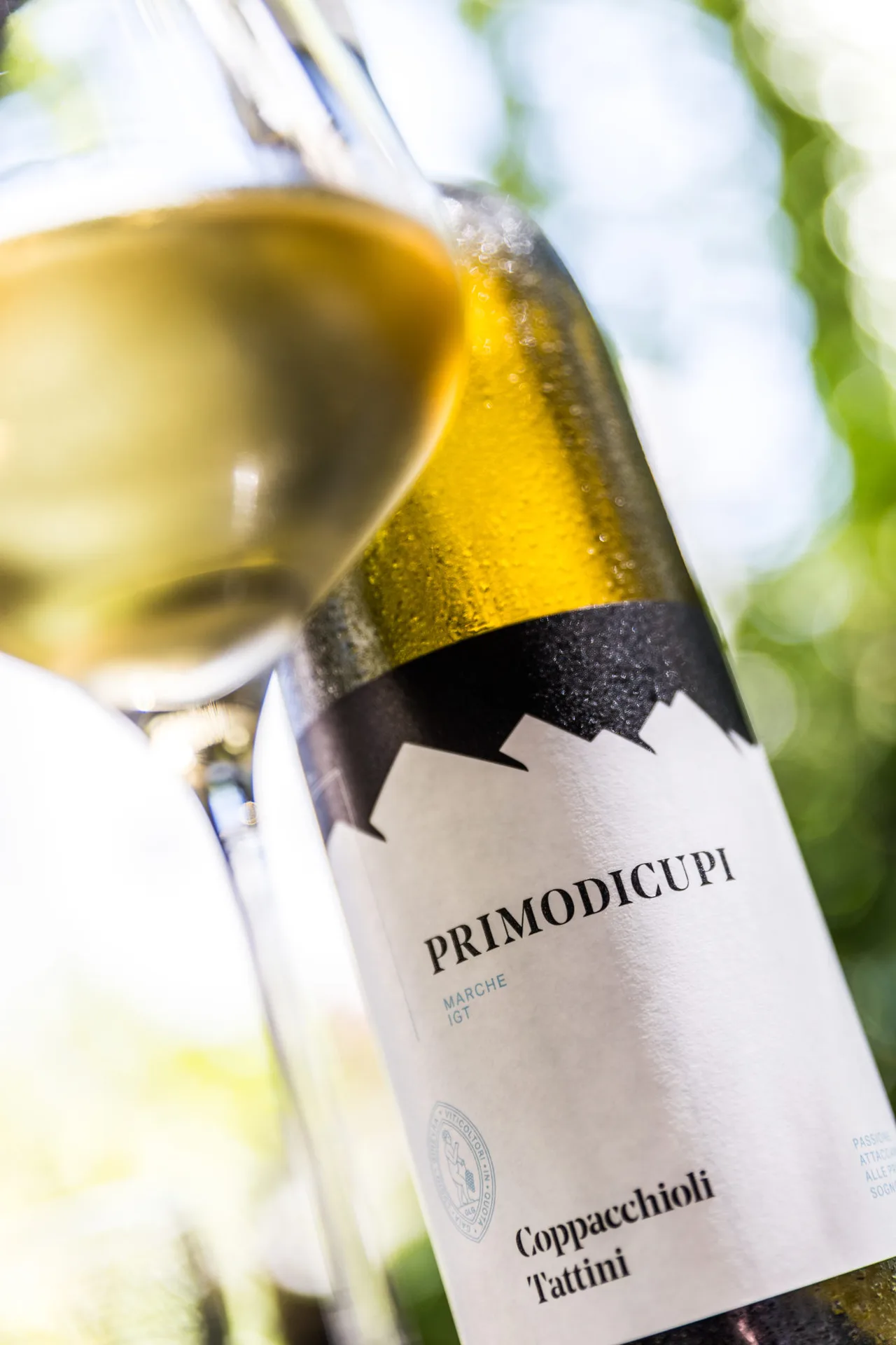 Pure Wine & Food — photo 10