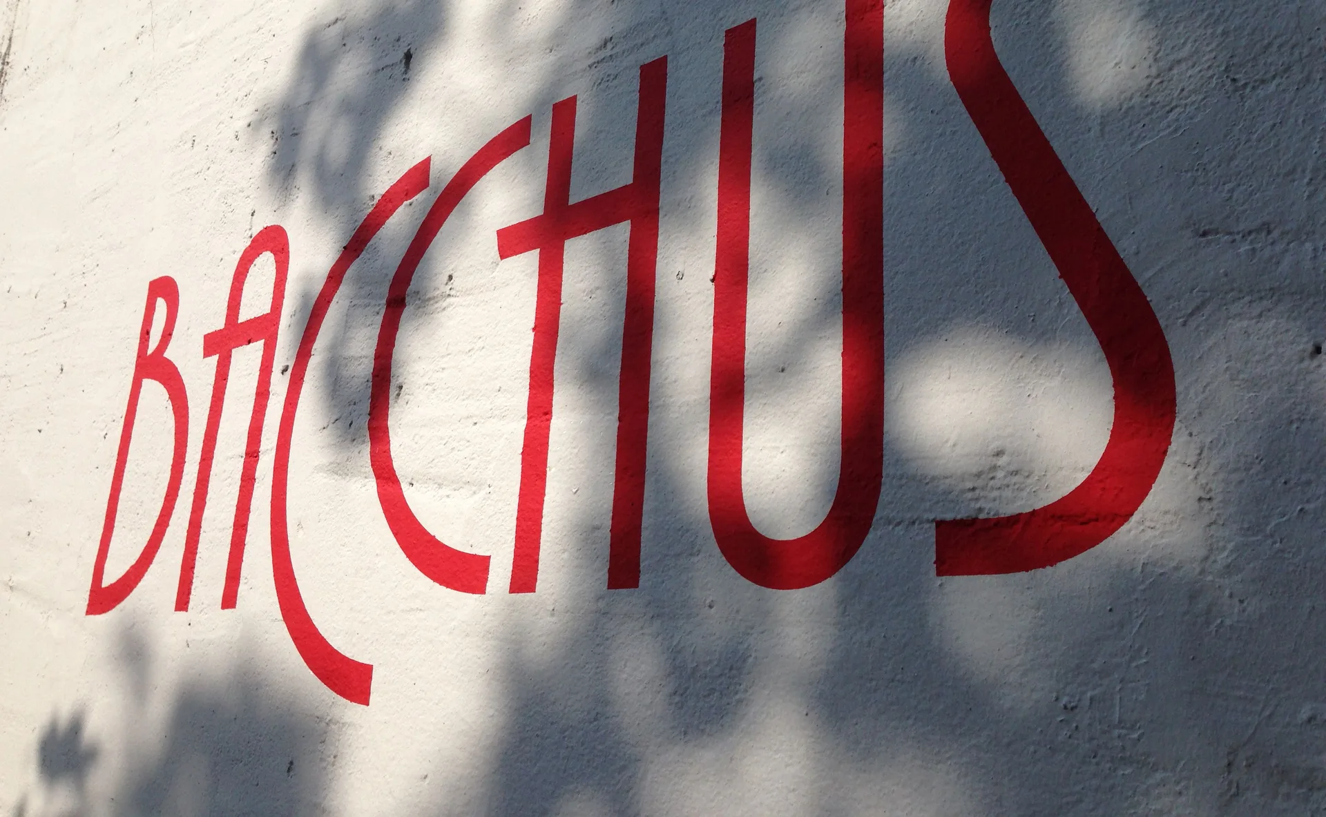 Weinrestaurant Bacchus — photo 26