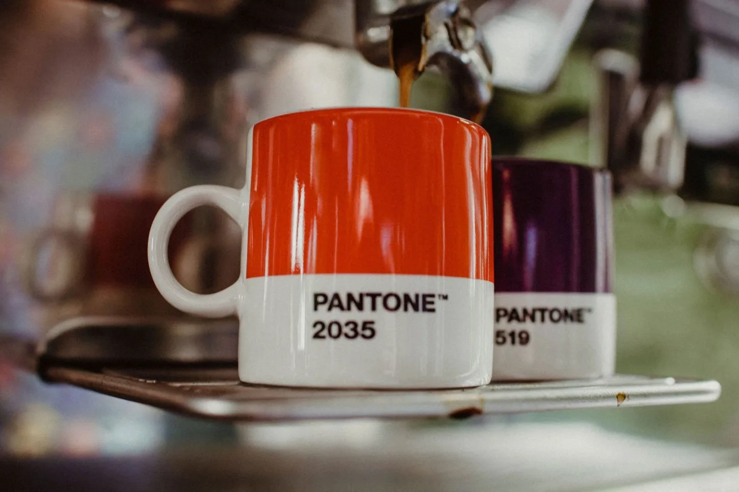 La Cottoneria — photo 4