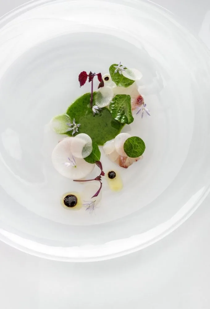 Restaurant Sola — photo 12