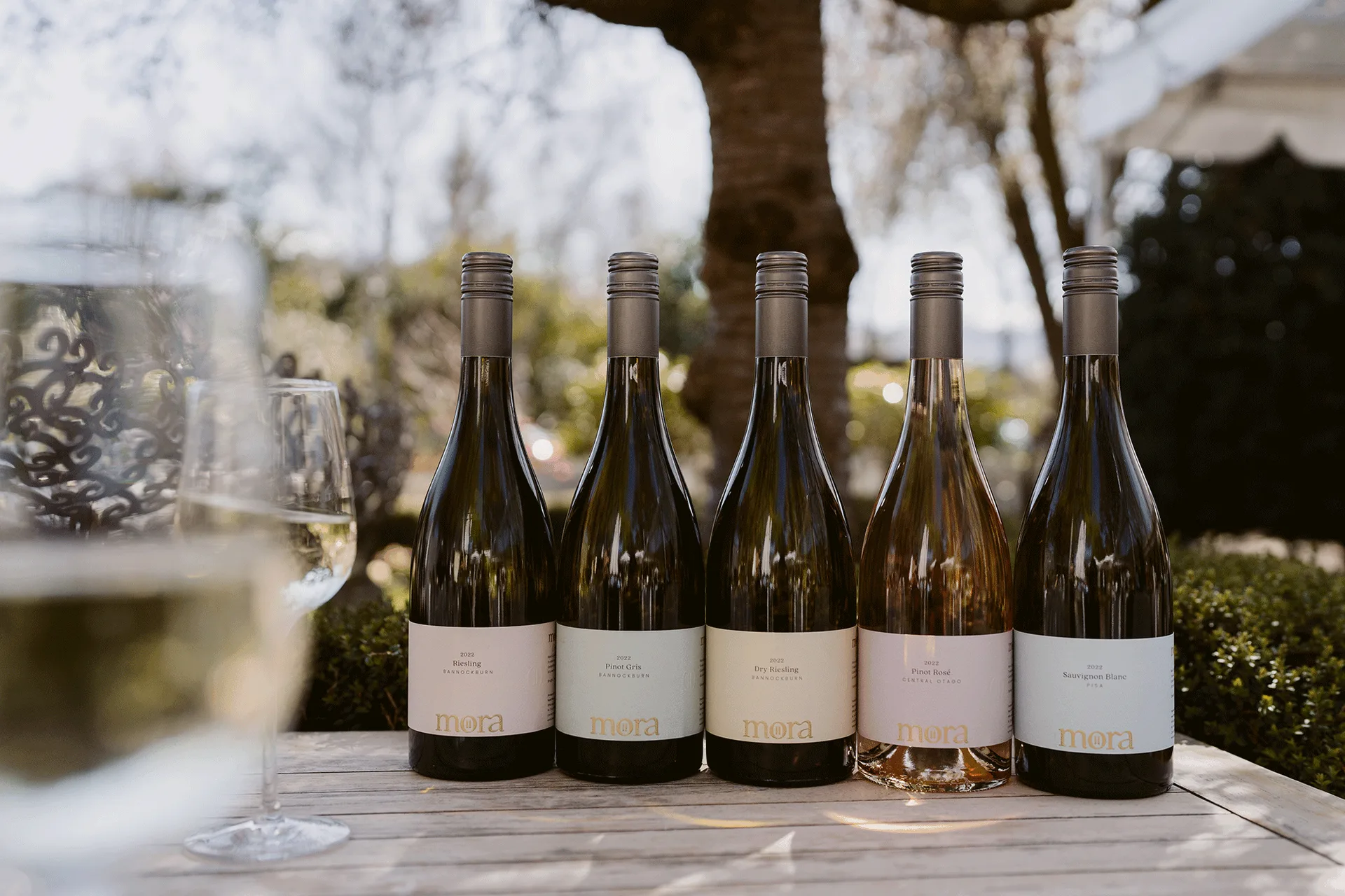 Mora Wines & Artisan Kitchen — photo 6